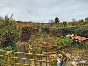 Garden- click for photo gallery